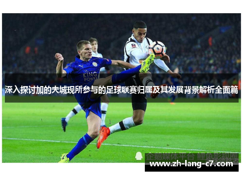 深入探讨加的夫城现所参与的足球联赛归属及其发展背景解析全面篇